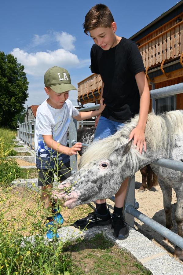 Familien- Und Apartmenthotel Lerchenberghof Walddorf  Exteriér fotografie