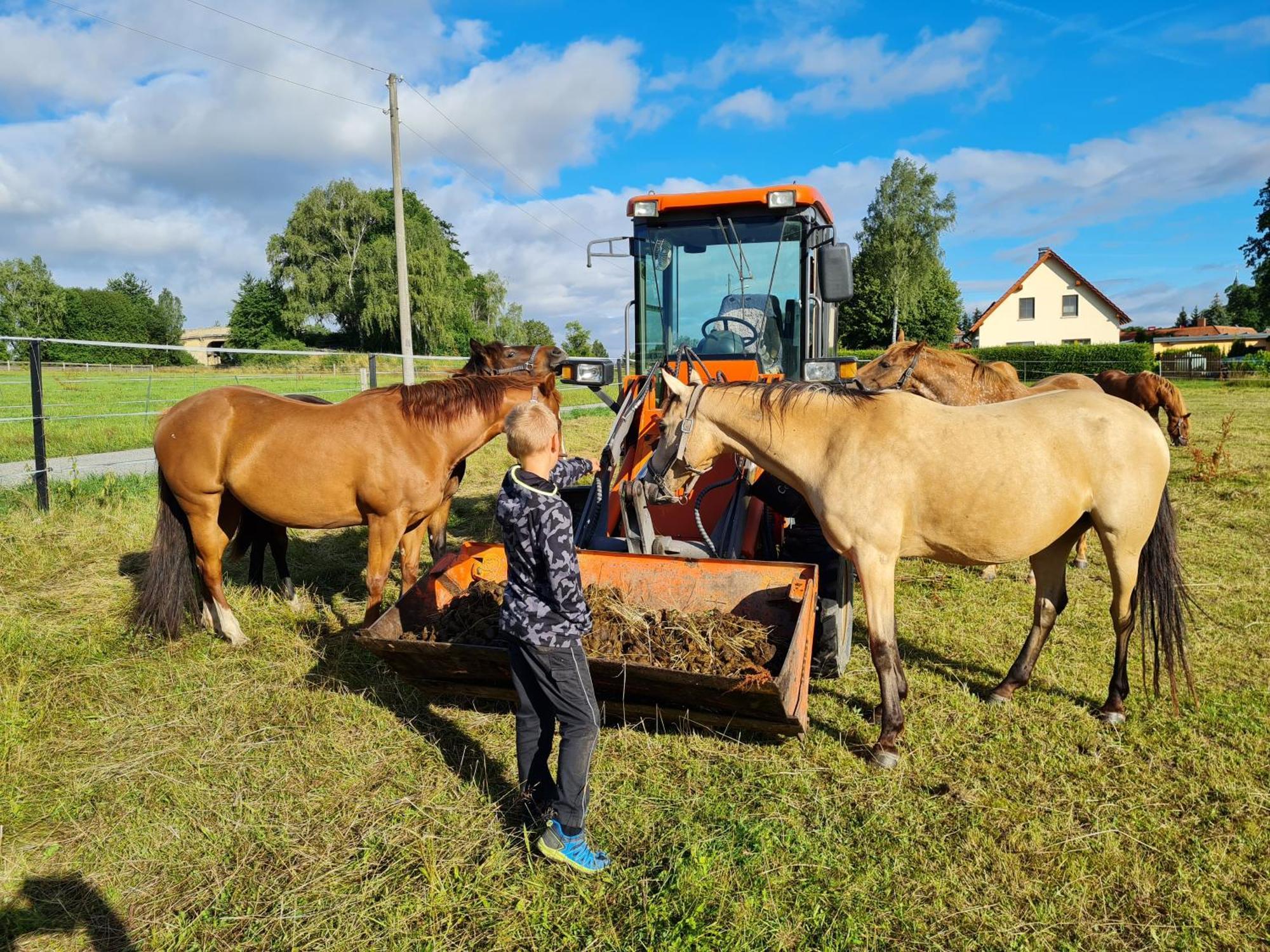 Familien- Und Apartmenthotel Lerchenberghof Walddorf  Exteriér fotografie