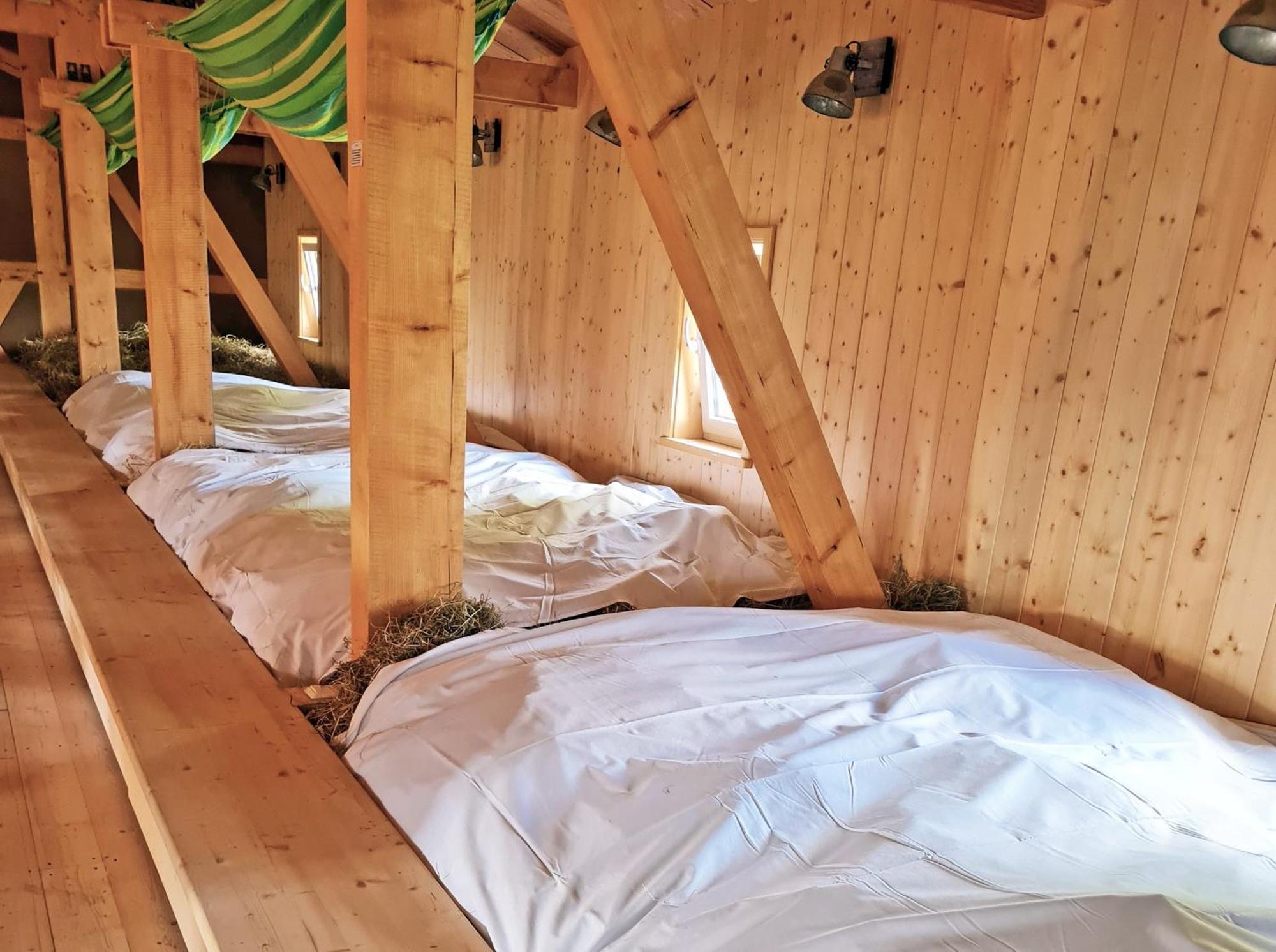 Familien- Und Apartmenthotel Lerchenberghof Walddorf  Pokoj fotografie
